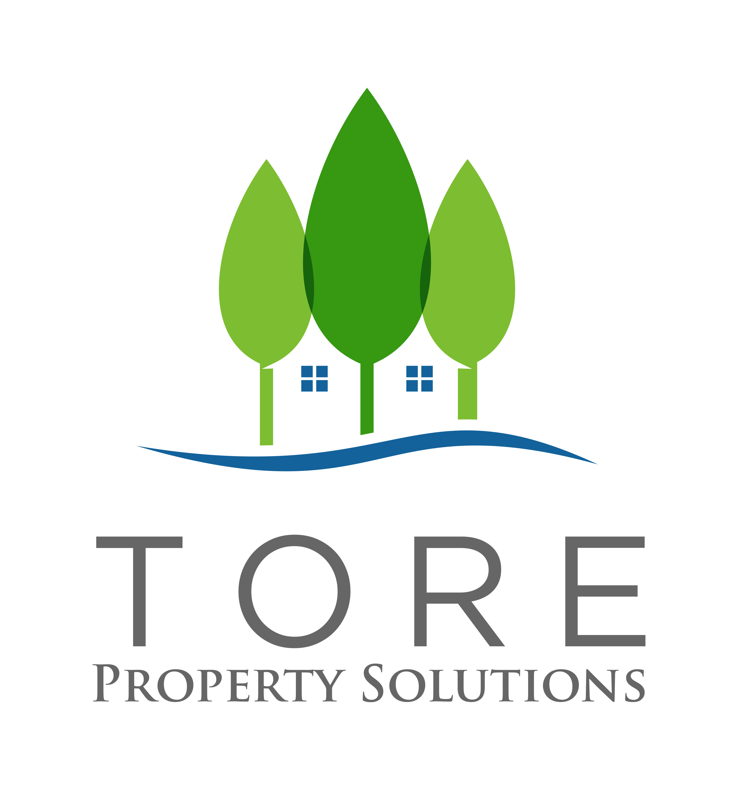 TORE Property Solutions